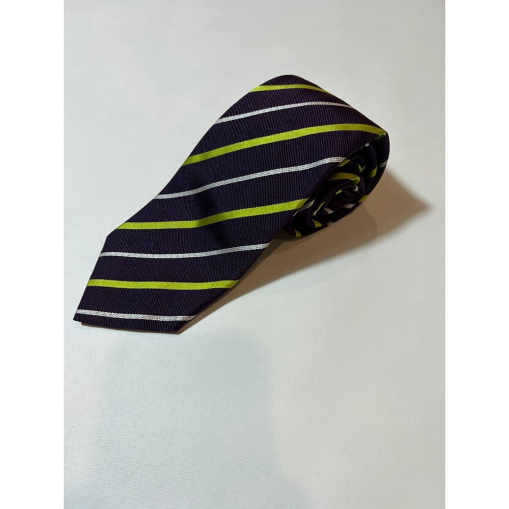 Ermenegildo Zegna Silk Tie Italy Purple Stripe Designer Luxury